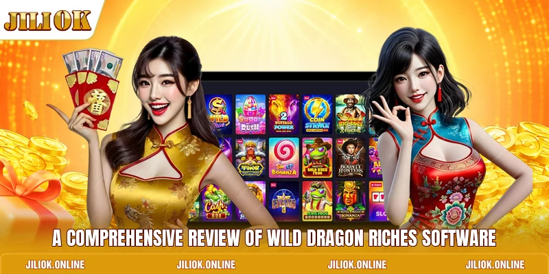 A comprehensive review of Wild Dragon Riches software
