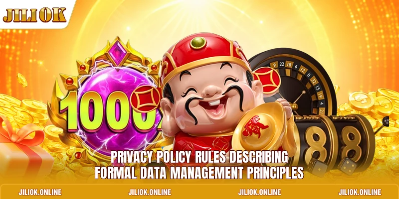 Privacy Policy rules describing formal data management principles